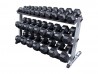 Body Solid 5-50 lb or 5-70 lb Dumbbell Rack