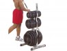 Body Solid Olympic Plate Tree and 2-Bar Rack, Commercial Grade