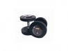 Troy Pro Style Contoured Dumbbells