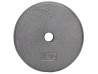 Standard Weight Plate Grey