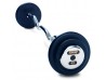 Troy Fixed Weight Curl Barbell