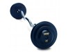 Troy Fixed Weight Curl Barbell