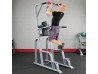 Body Solid ProClub Vertical Knee Raise and Dip and Pullup