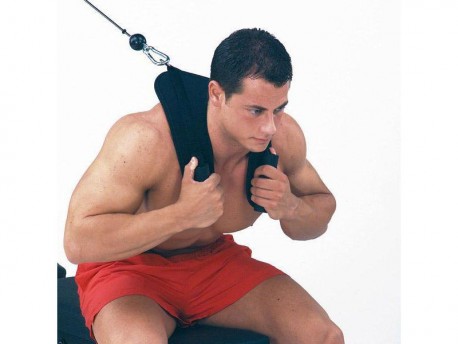 Ab Crunch Harness